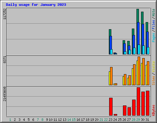 Daily usage for January 2023
