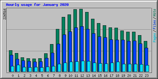 Hourly usage for January 2020
