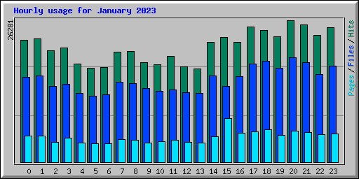 Hourly usage for January 2023